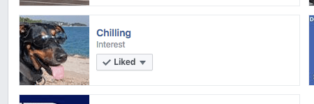 screen-shot-2016-11-15-at-5-54-33-pm